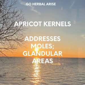 APRICOT KERNELS 4 OZ