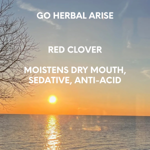 RED CLOVER 1 OZ