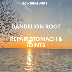DANDELION ROOT 1 OZ