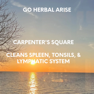 CARPENTER'S SQUARE 1 OZ