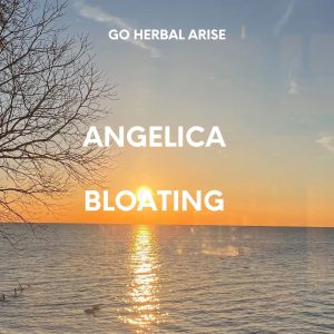 GoHerbalArise Angelica