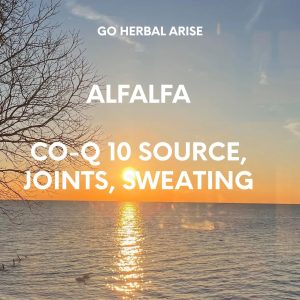 GoHerbalArise Alfalfa