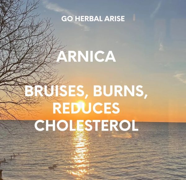 GoHerbalArise Arnica