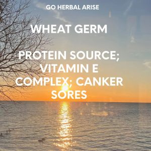 WHEAT GERM 1 OZ