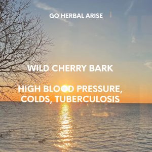 STRAWBERRY LEAF 4 OZ