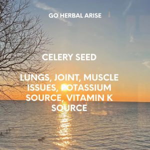 CELERY SEED 1 OZ
