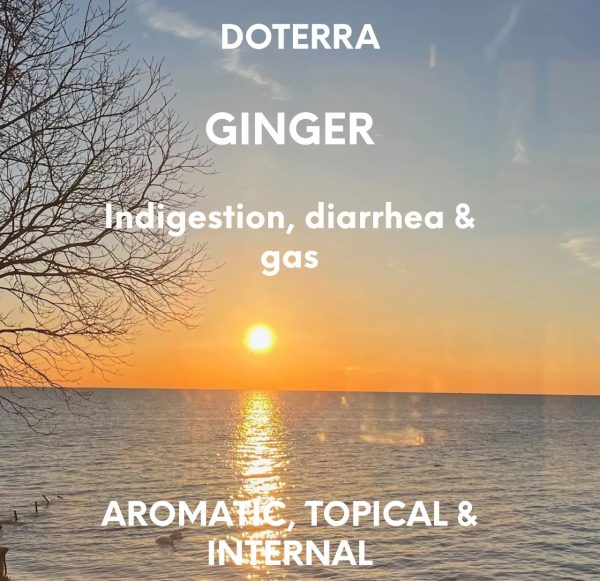 DOTERRA GINGER