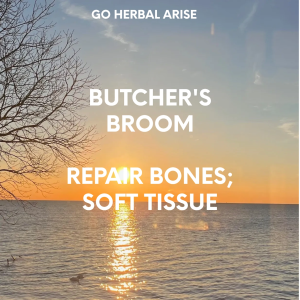 BUTCHER'S BROOM 1 OZ