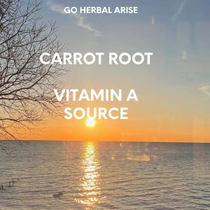 CARROT ROOT 1 OZ