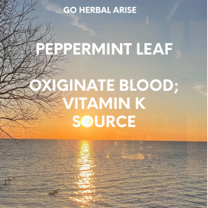 PEPPERMINT LEAF 1 OZ