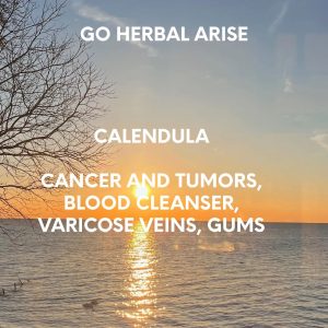 CALENDULA 1 OZ