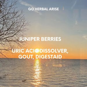 JUNIPER BERRIES 1 OZ