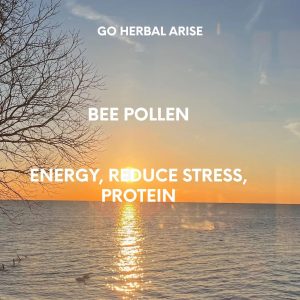 GoHerbalArise Bee Pollen