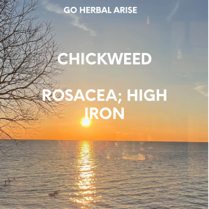 CHICKWEED 1 OZ
