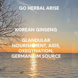 KOREAN GINSENG 1 OZ