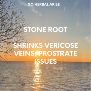 STONE ROOT 1 OZ