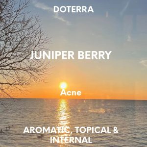 DOTERRA JUNIPER BERRY