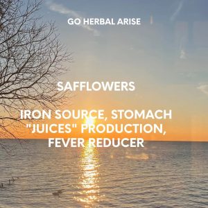 SAFFLOWERS 1 OZ