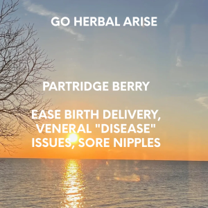 PARTRIDGE BERRY 1 OZ