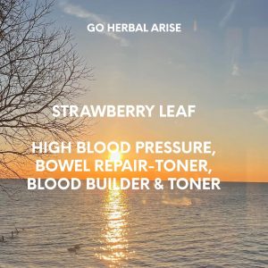 STRAWBERRY LEAF 1 OZ