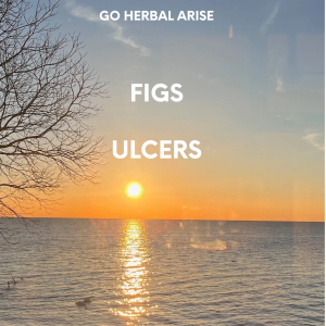 FIGS 1 OZ