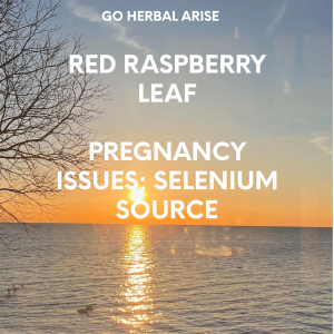 RED RASPBERRY LEAF 1 OZ