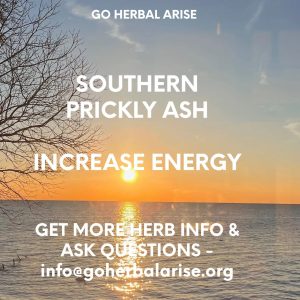 SOUTHERN PRICKLY ASH 4 OZ