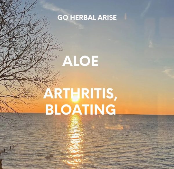 GoHerbalArise Aloe